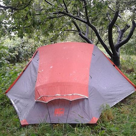 Issyk-Kul - Camping Grigoryevka Grigor'yevka Exterior foto