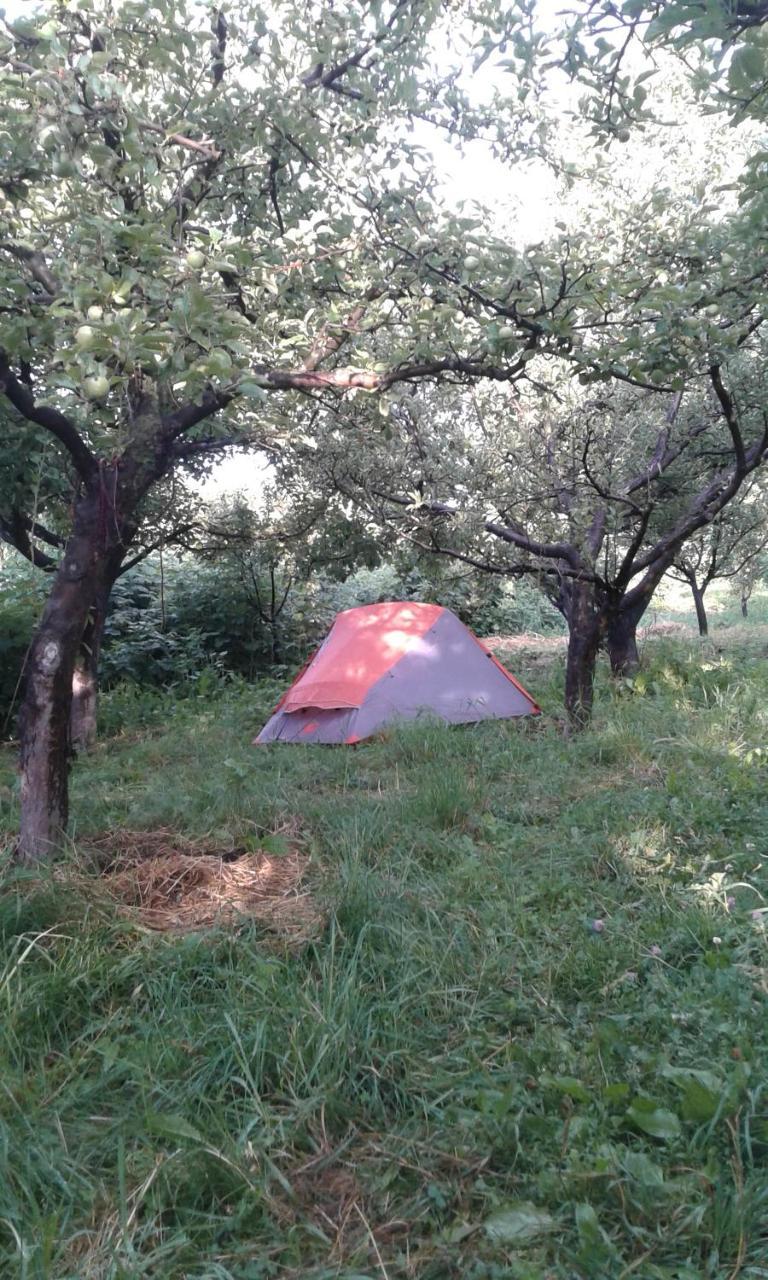 Issyk-Kul - Camping Grigoryevka Grigor'yevka Exterior foto