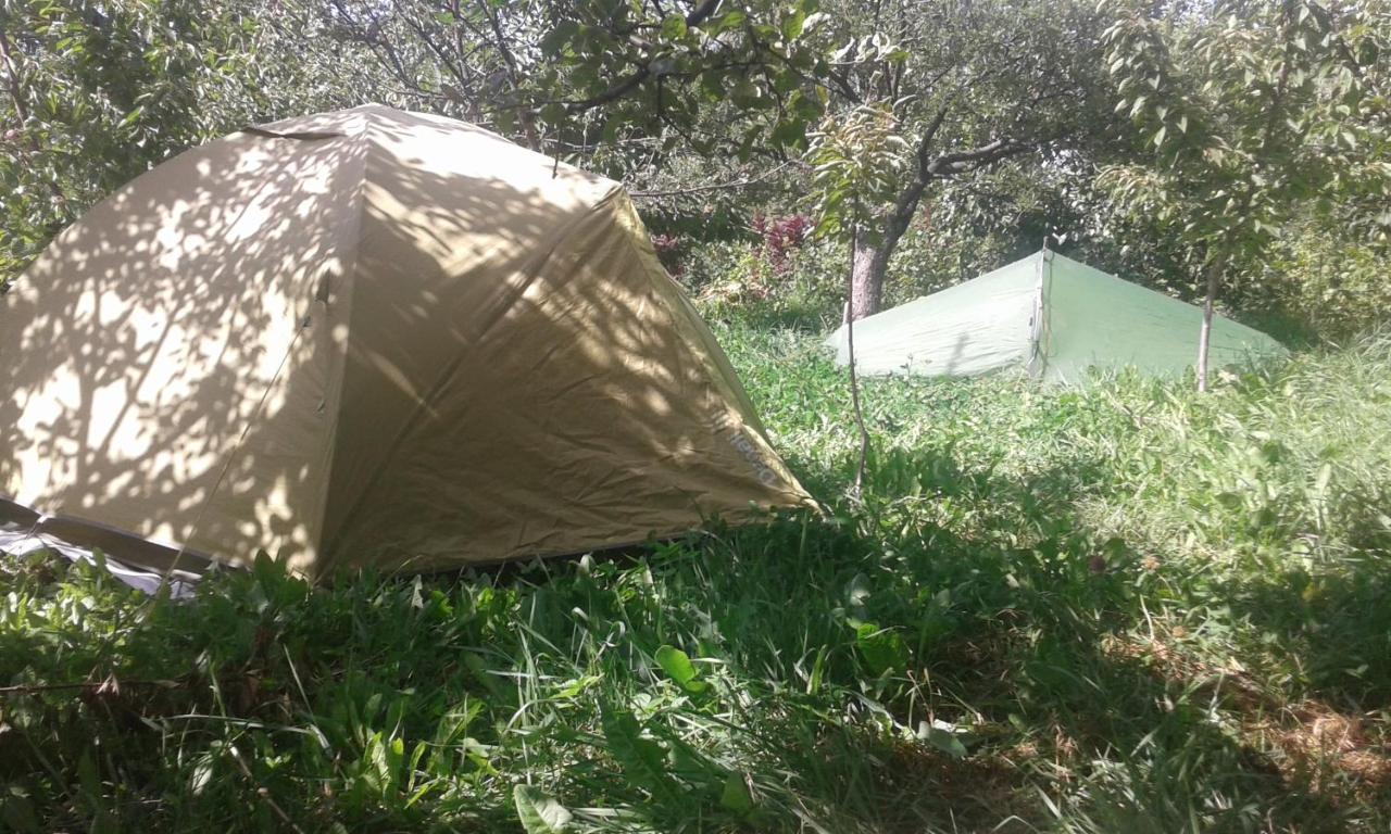 Issyk-Kul - Camping Grigoryevka Grigor'yevka Exterior foto